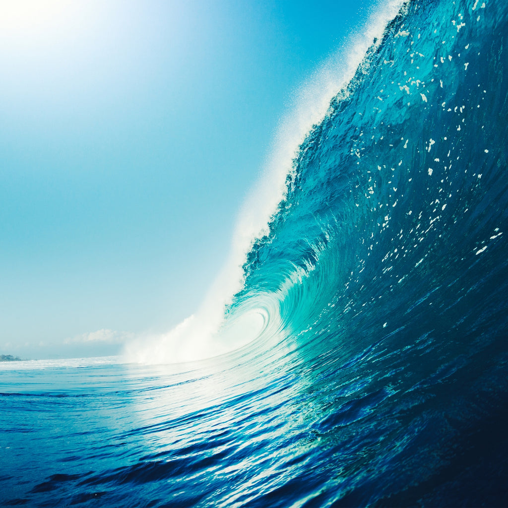 The Science of Waves and Tides