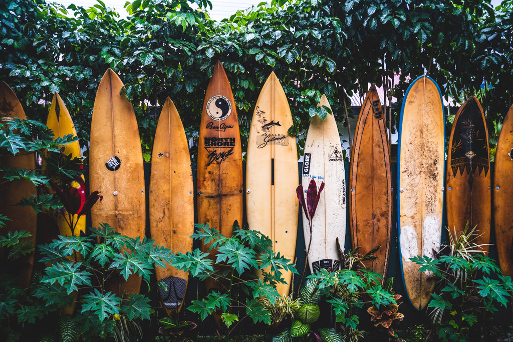 The Art of Shaping Surfboards