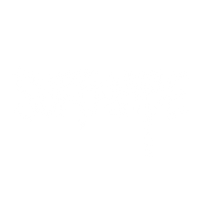 SURF N VIBE